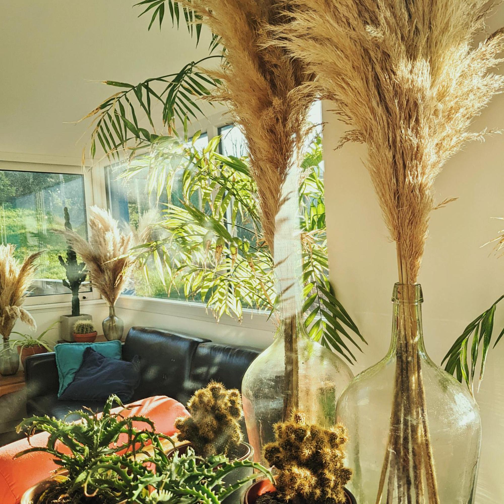 La Maison Du Cosquer カマレ・シュル・メール エクステリア 写真